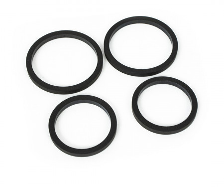 CP4518-EH AP Racing Caliper seal kit 1.25